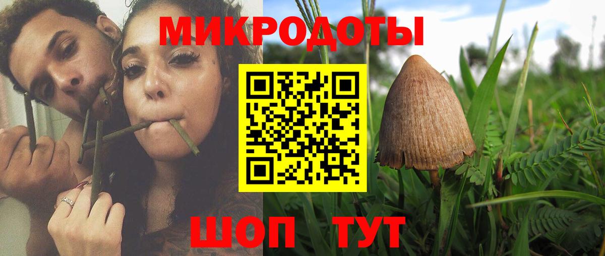 Галлюциногенные грибы Psilocybe  Вход с VPN  Кемерово 